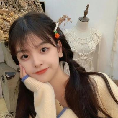 企鹅之岛：福克兰