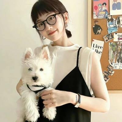 Go！Go！小小车向前冲第二季